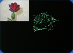 Luminescent artificial flowers photo